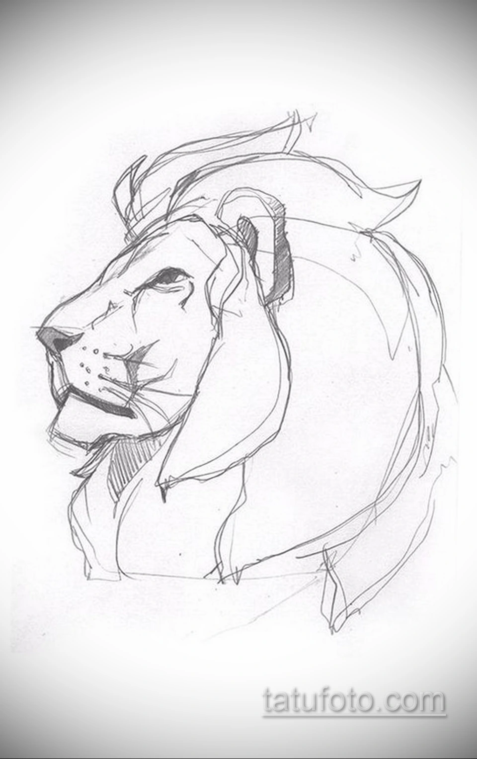 Набросок для рисования льва