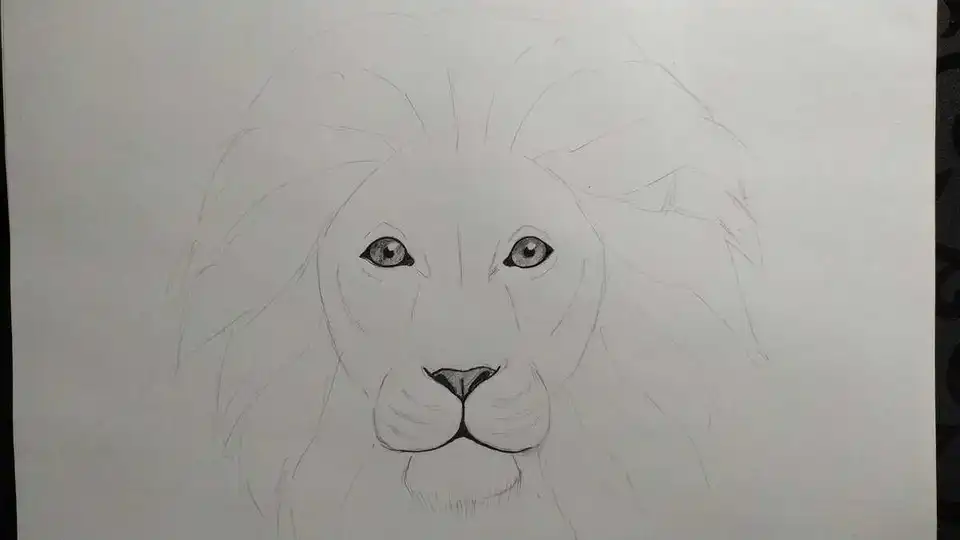 Рисунок льва поэтапно