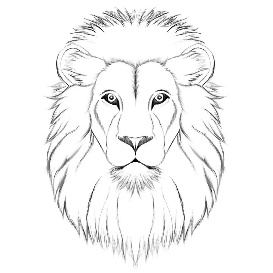 Рисунок льва легкий