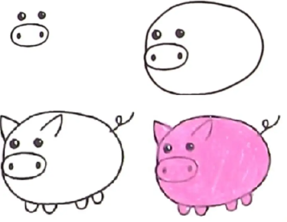 Поэтапное рисование свинки