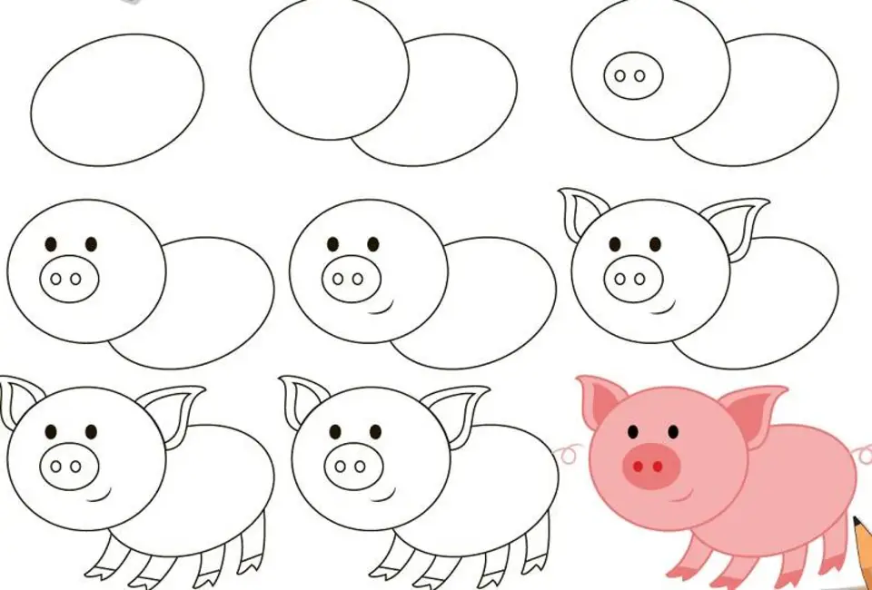 Раскраска свинья для детей