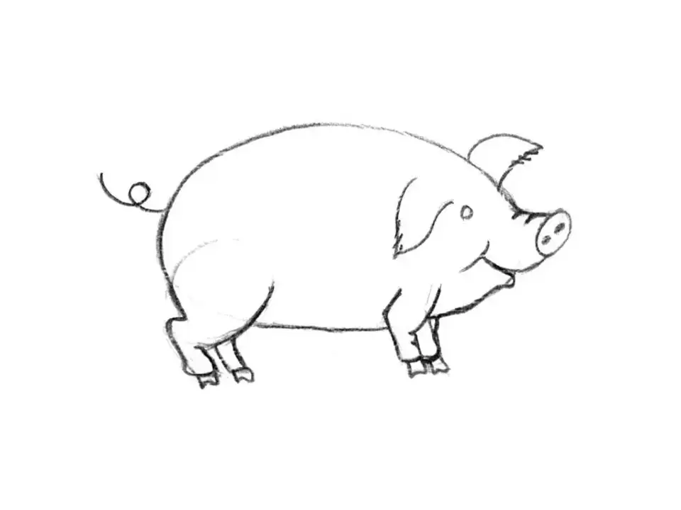 Свинья для рисования