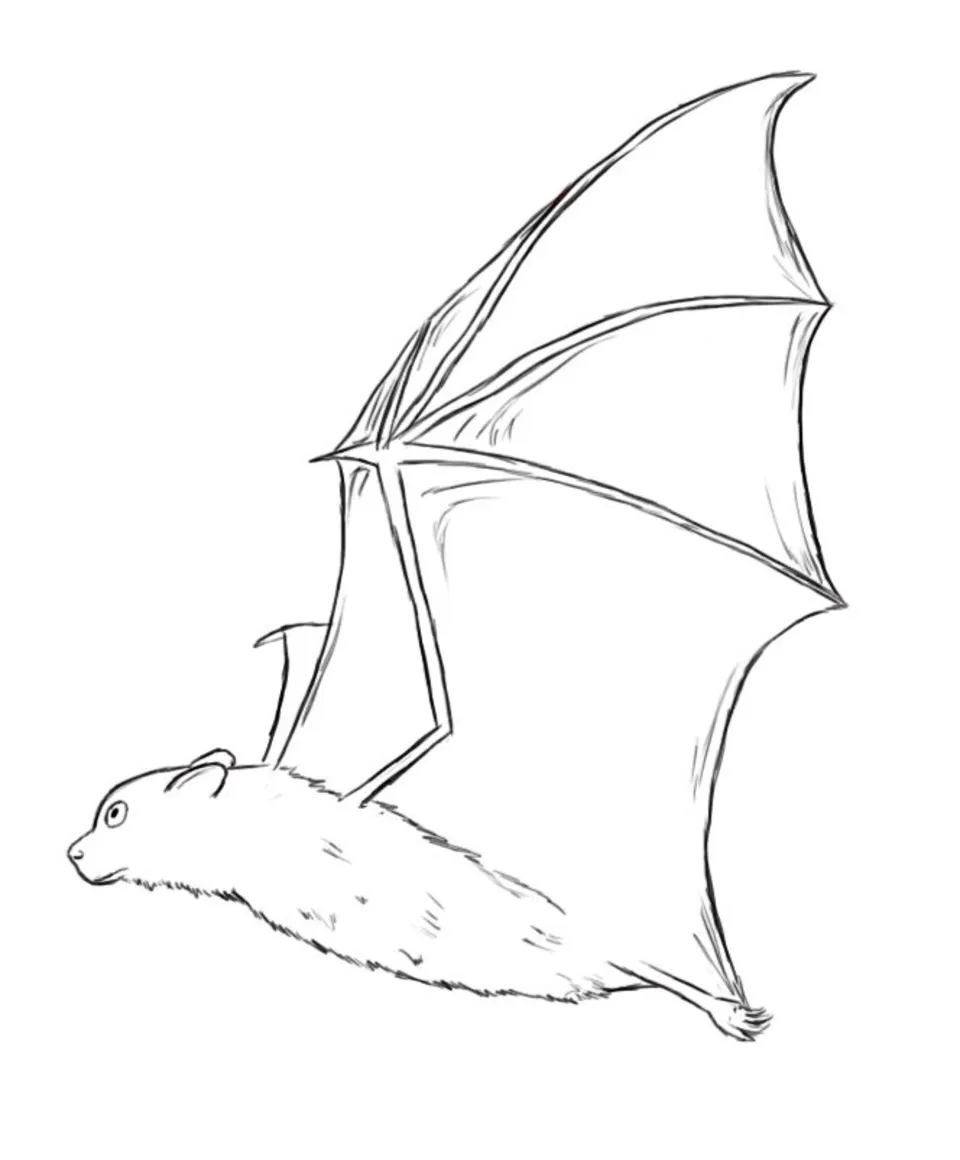 Летучая мышь простой рисунок