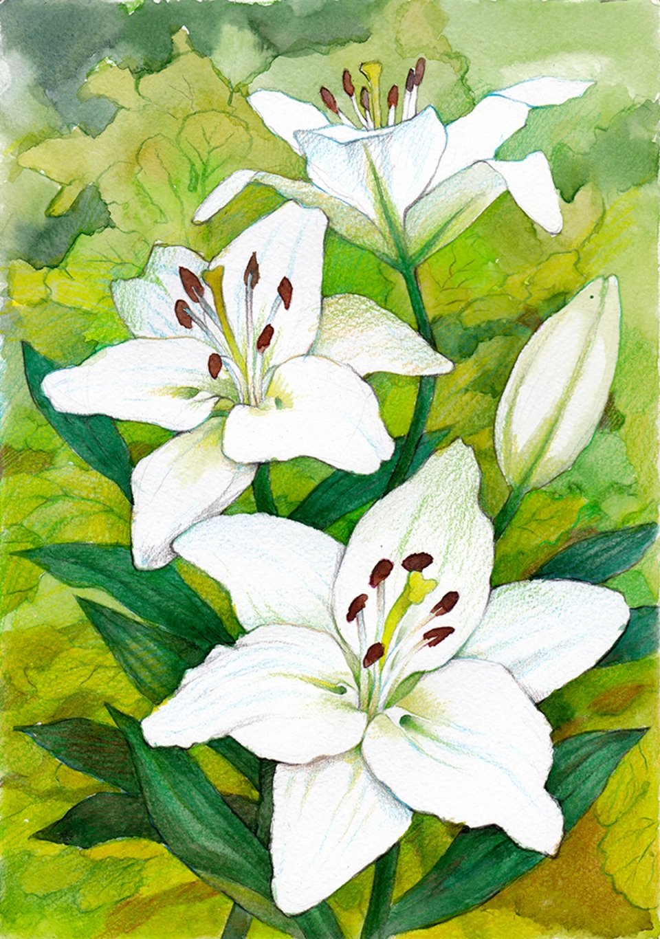 Лилия белая гуашью