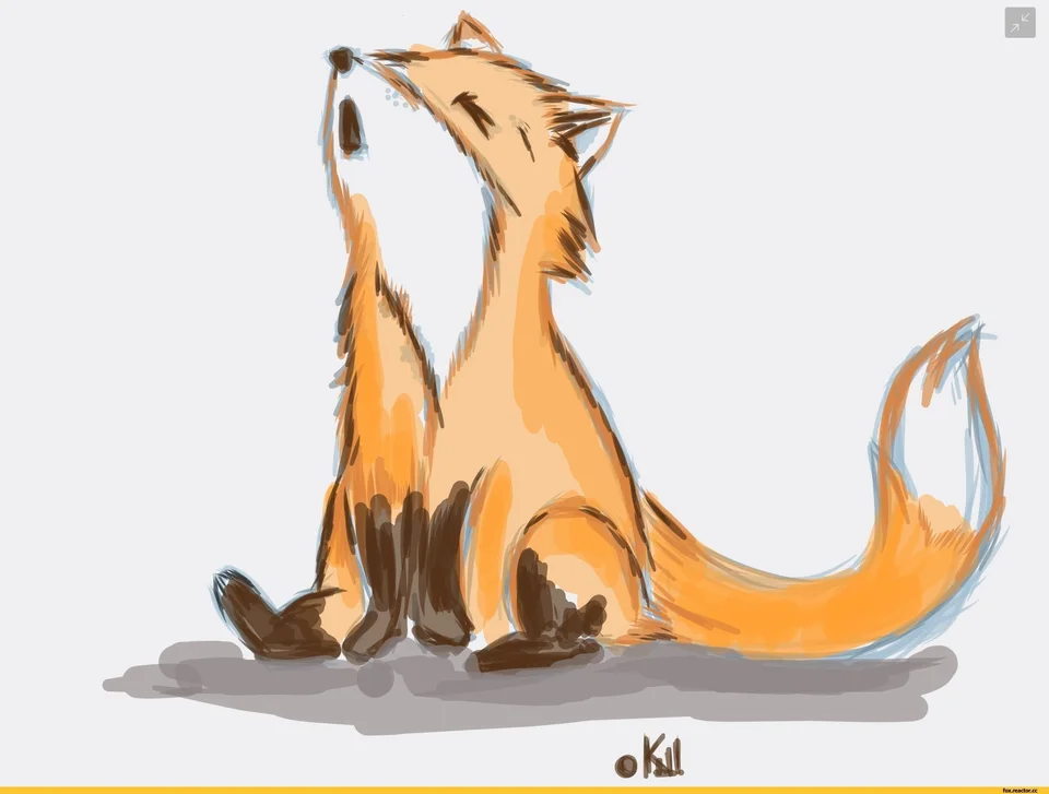 Сидящая лиса рисунок