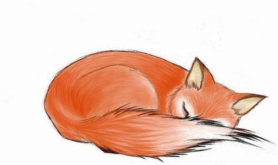 Лёгкий рисунок лисы