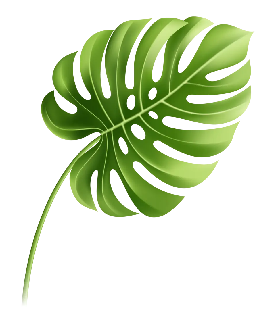 Рендер листок