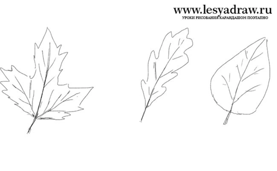 Рисовать листья