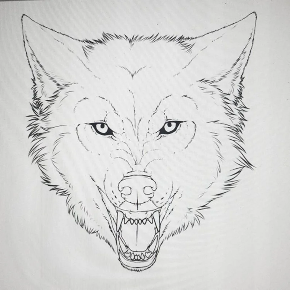 Морда волка для рисования