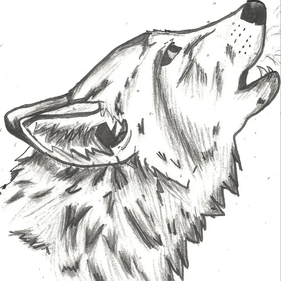 Морда волка рисунок