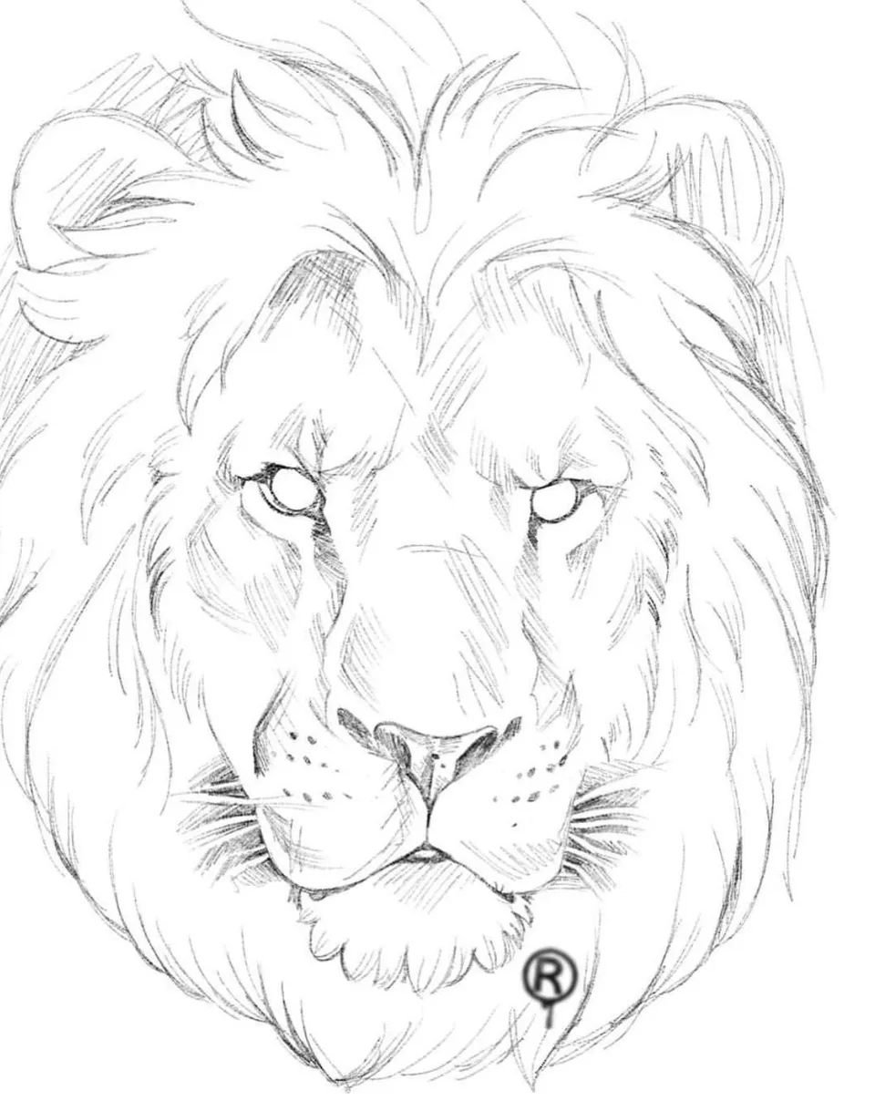 Голова льва рисунок карандашом