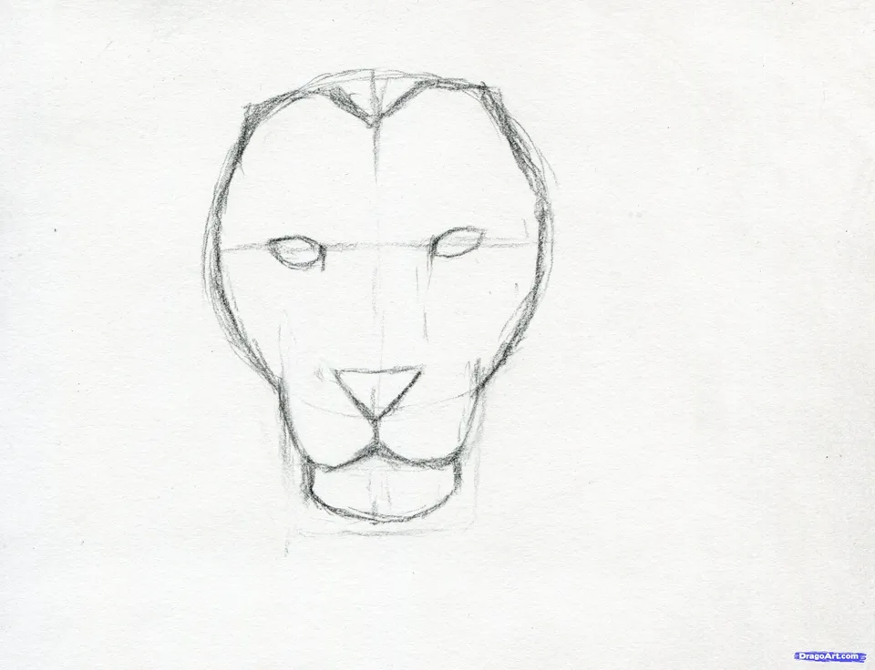 Поэтапное рисование головы льва