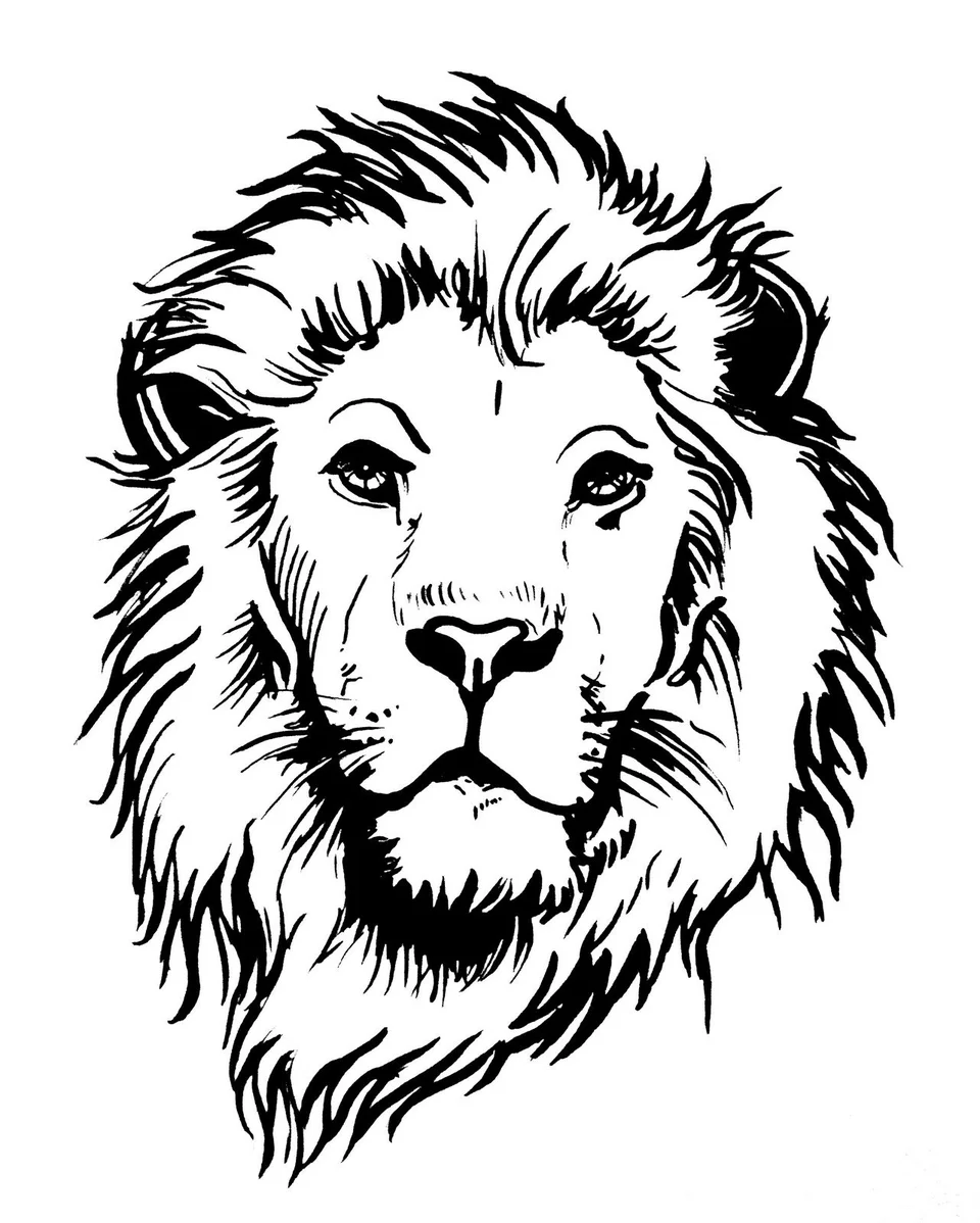 Лицо льва рисунок