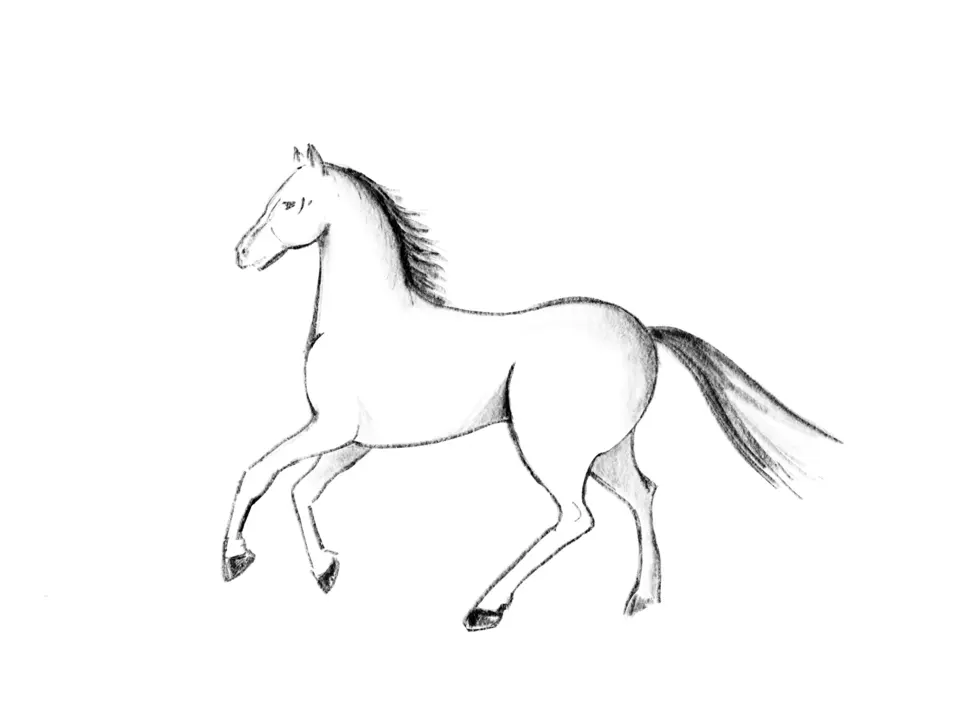Лошадь карандашом поэтапно