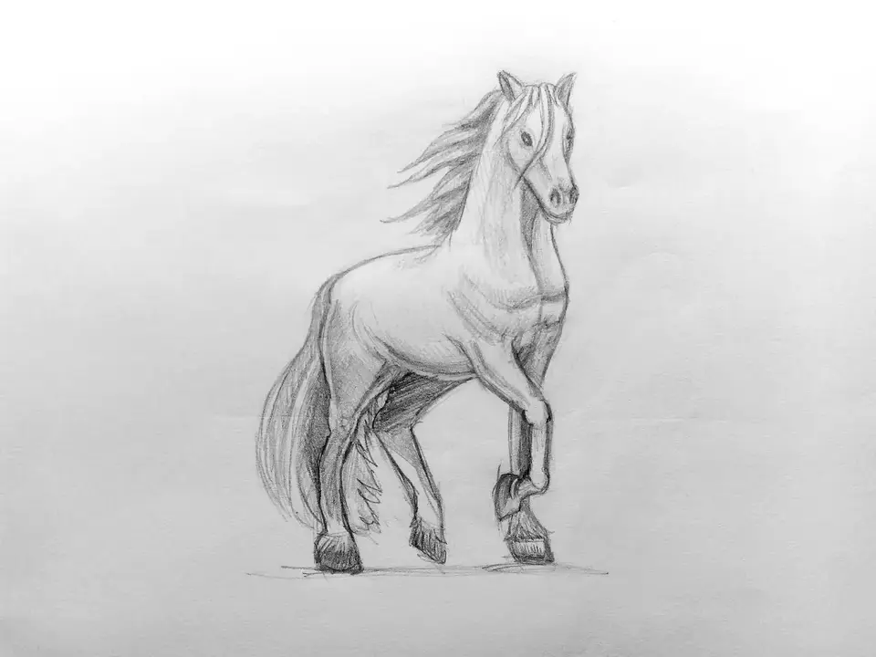 Конь карандашом