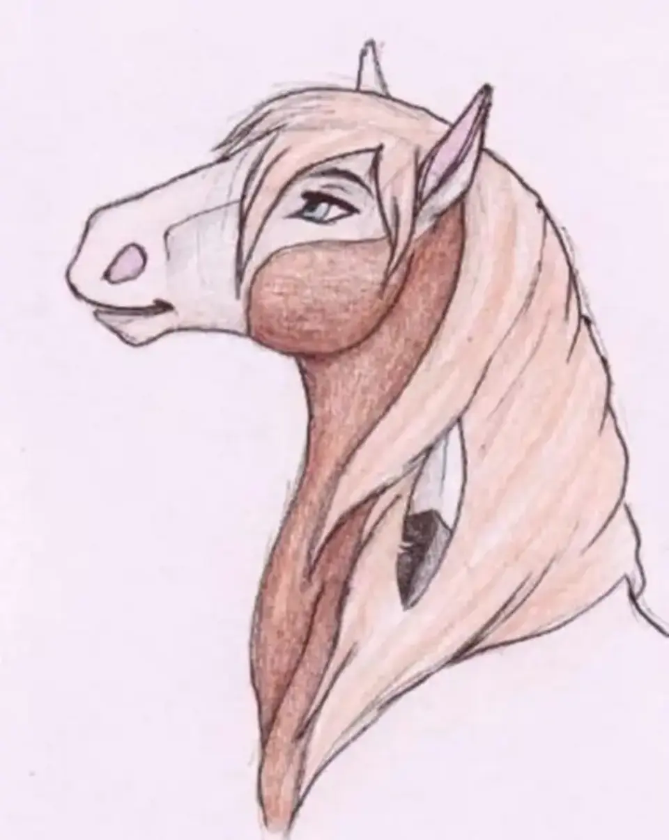 Рисунки лошадей для срисовки