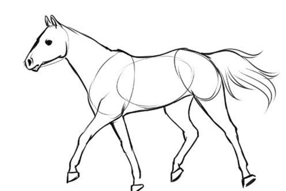 Лошадь карандашом