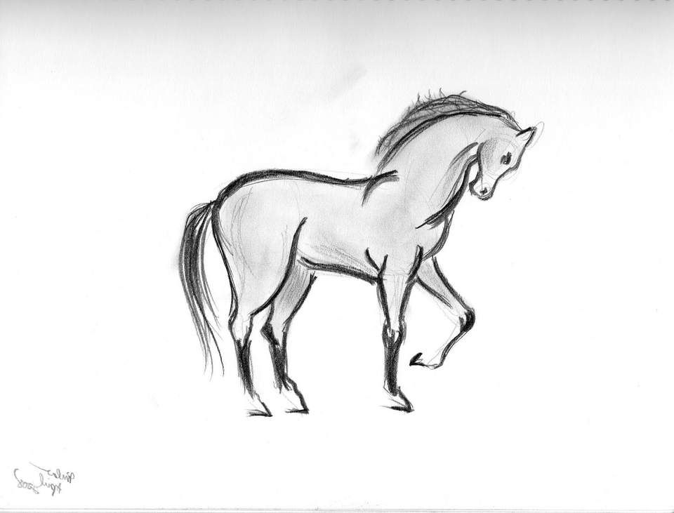 Лошадь простым карандашом
