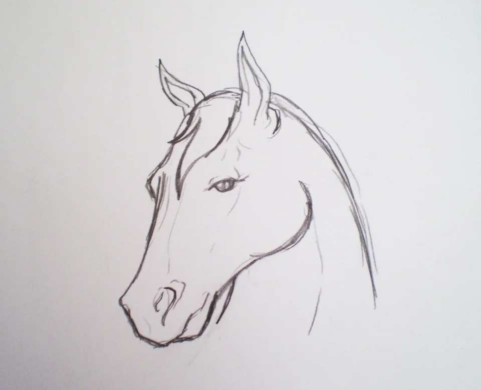 Лошадь простым карандашом