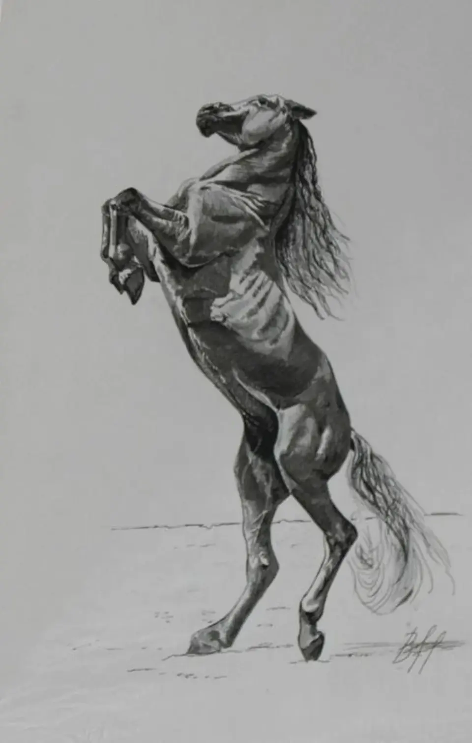 Конь на дыбах рисунок