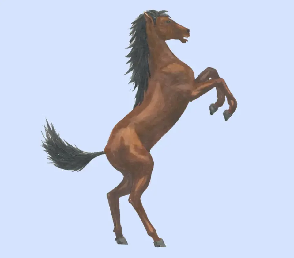 Рисуем лошадь в фотошопе