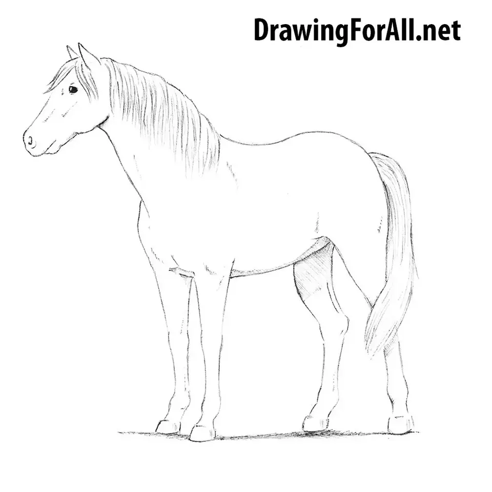 Лошади рисунки карандашом