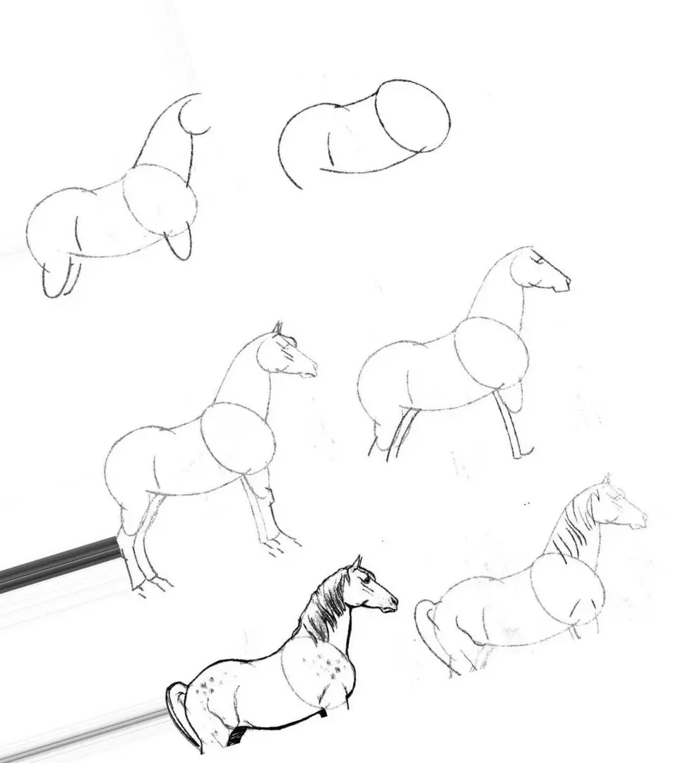 Поэтапное рисование лошади