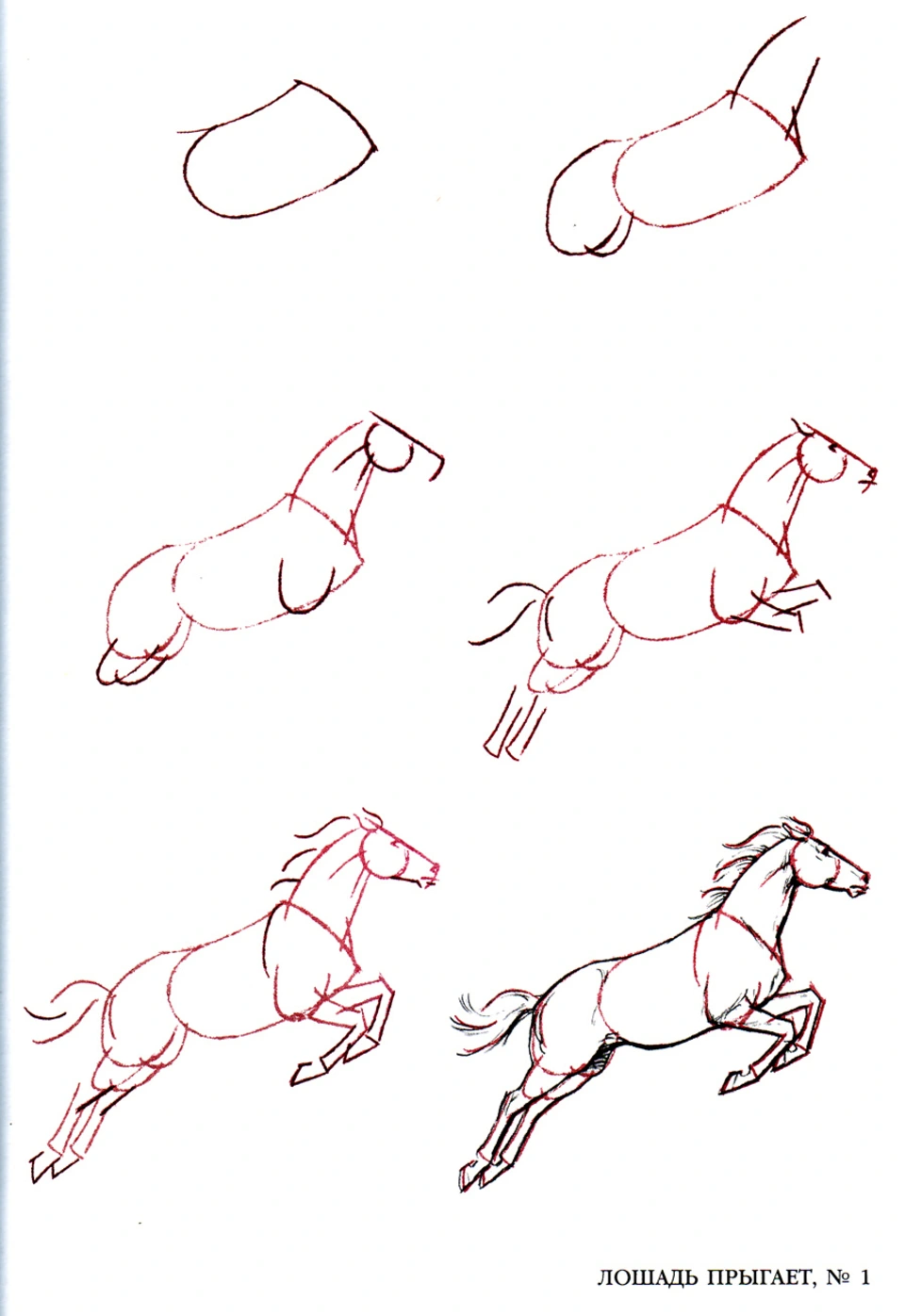 Рисунок лошади карандашом поэтапно