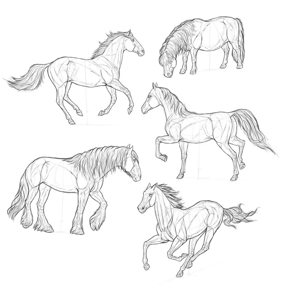 Лошадь для рисования