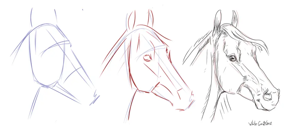 Лошадь поэтапно карандашом