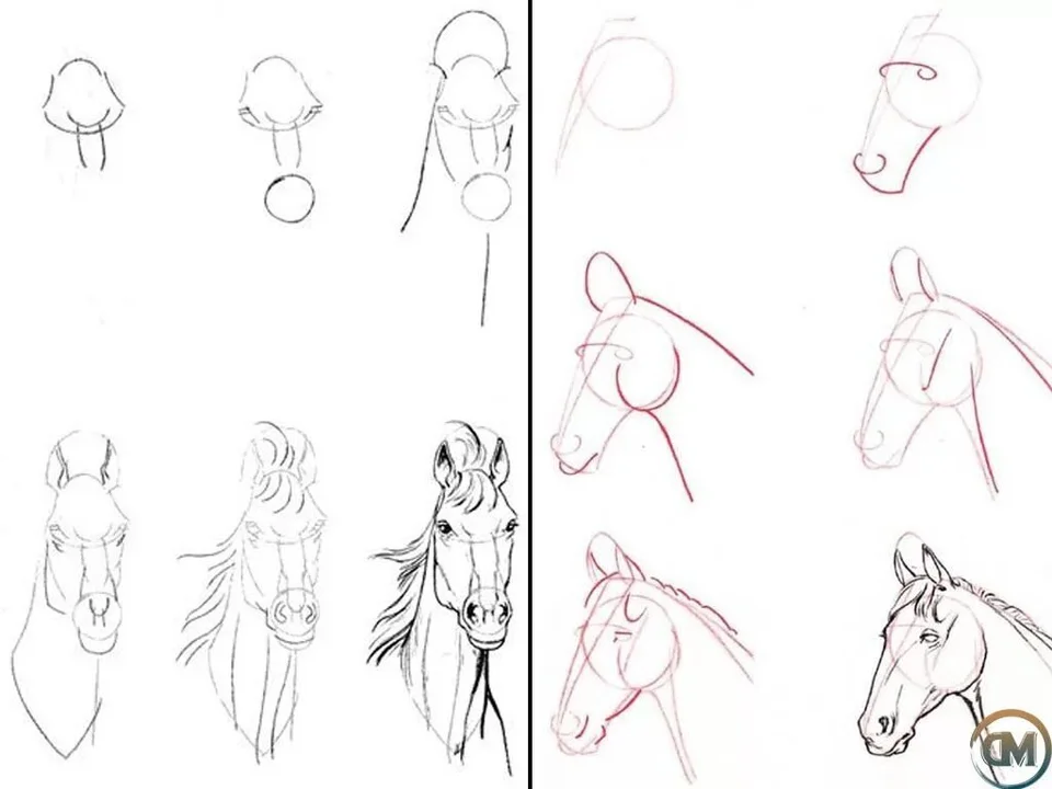Рисовать лошадь карандашом