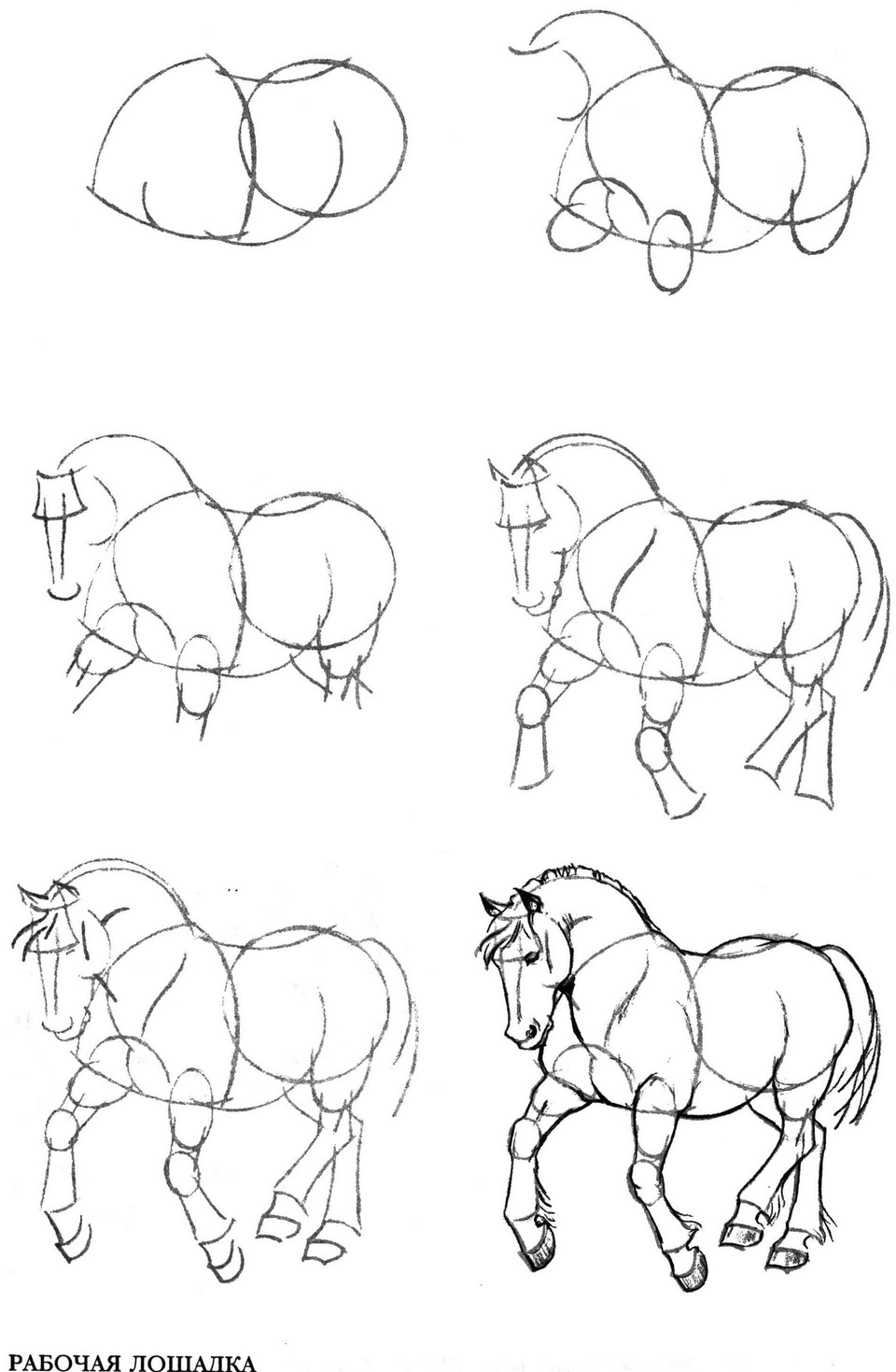 Лошадь пошаговое рисование для детей вправо