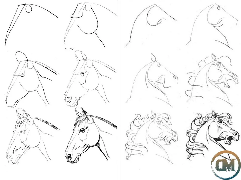 Рисуем лошадь поэтапно карандашом для начинающих