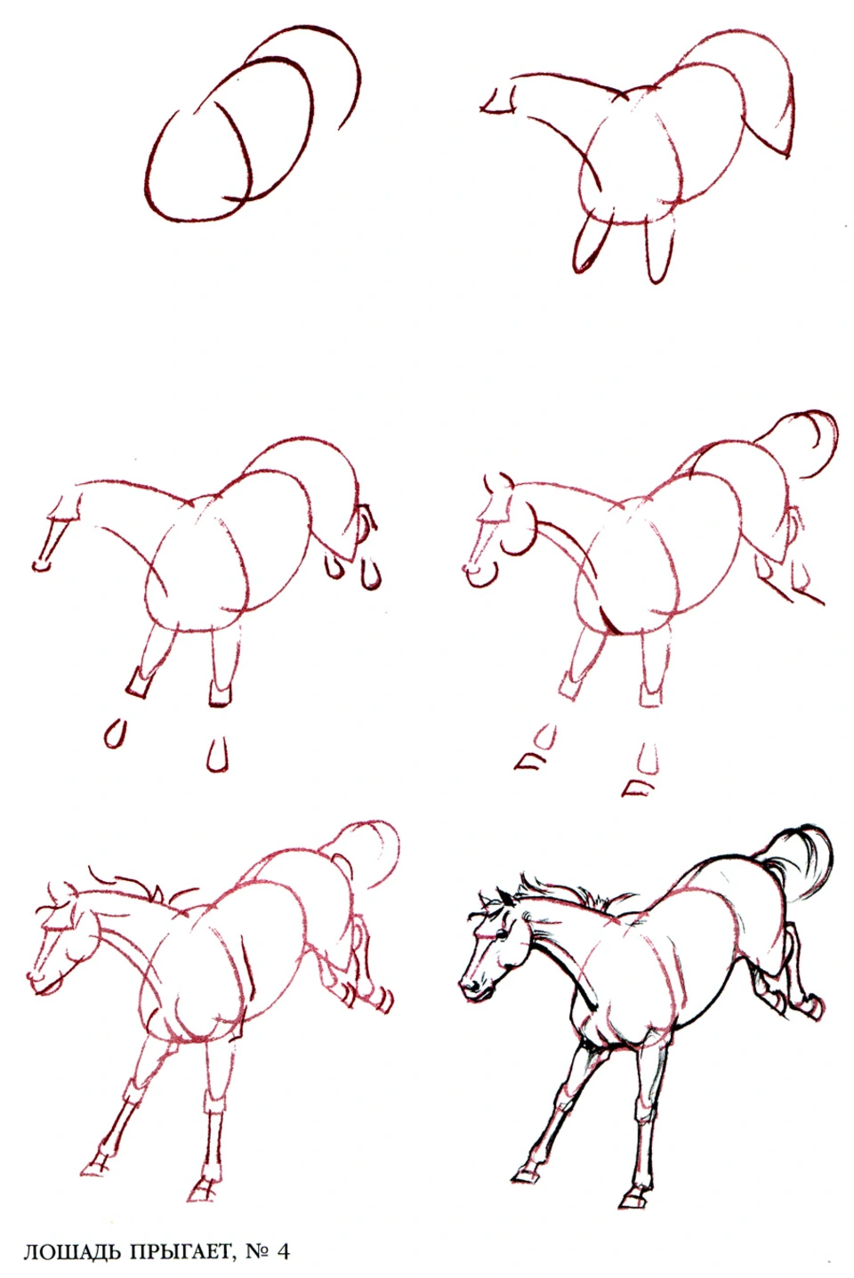 Поэтапное рисование лошади