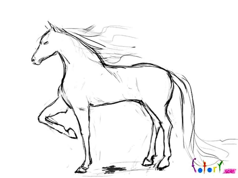 Лошадь карандашом поэтапно