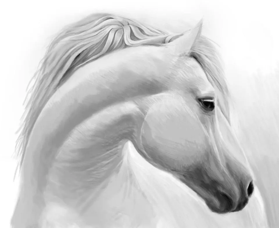 Рисунки карандашом лошади