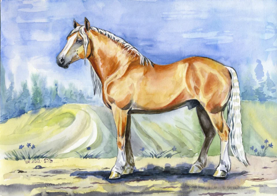 Лошадь рисунок для срисовки