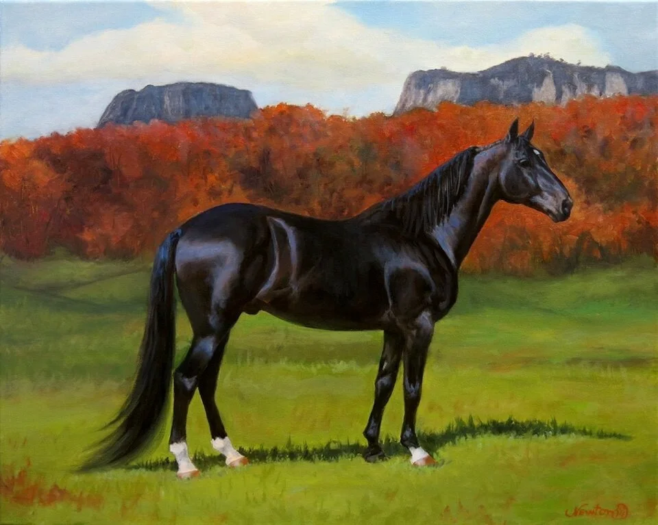 Лошадь жеребец
