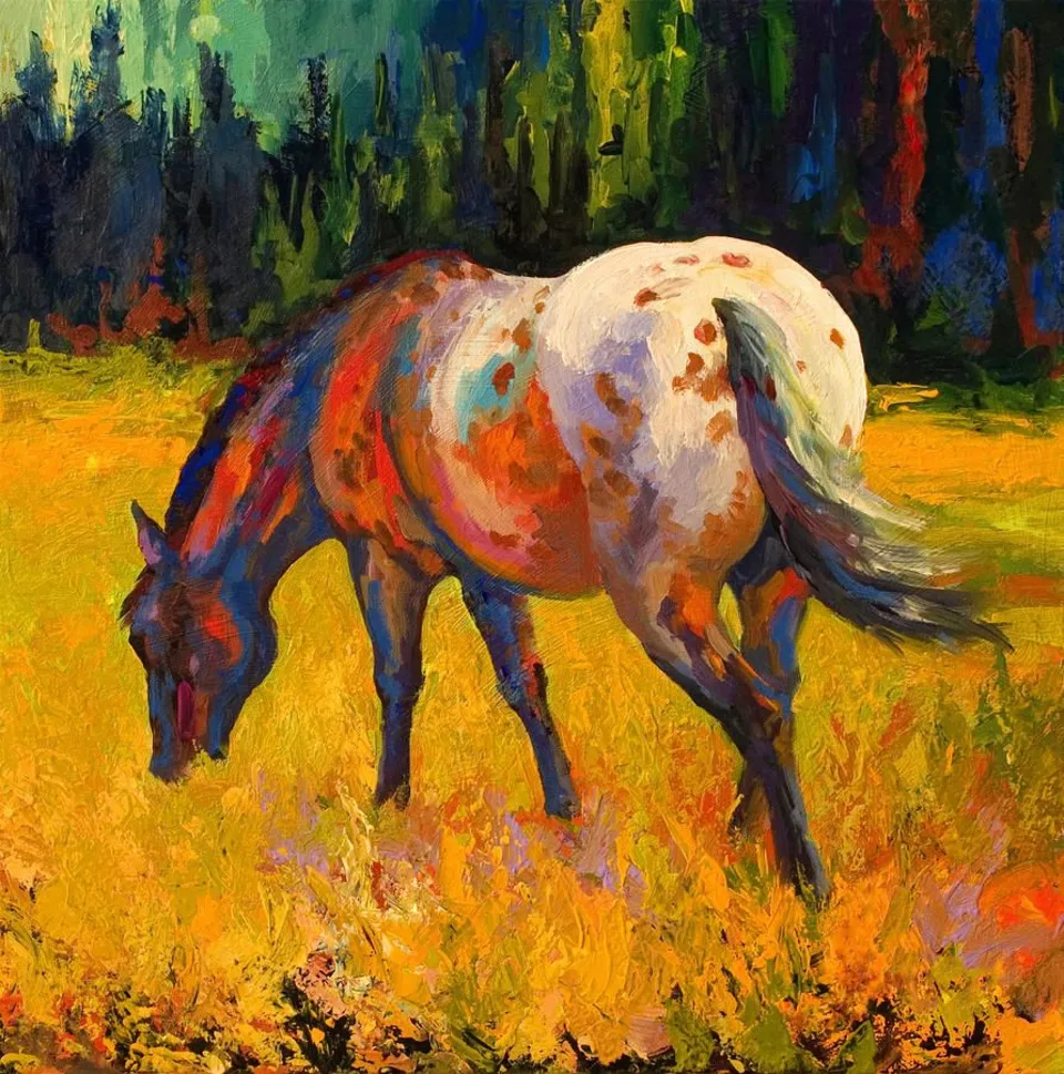 Лошадь аппалуза живопись