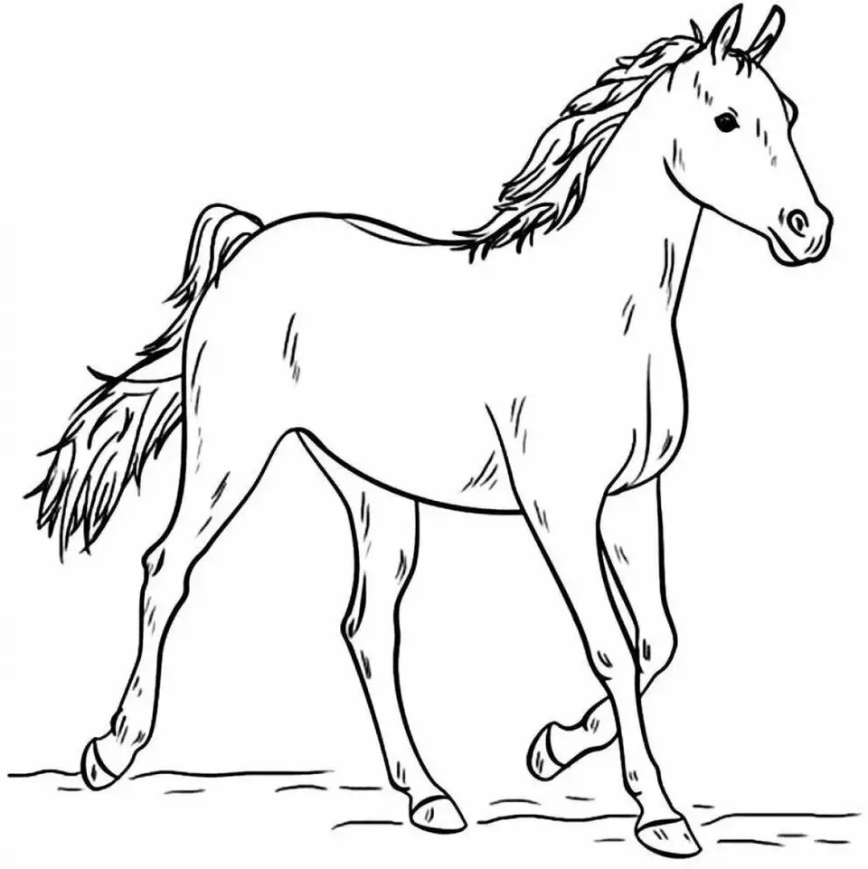 Раскраска лошадь в поле
