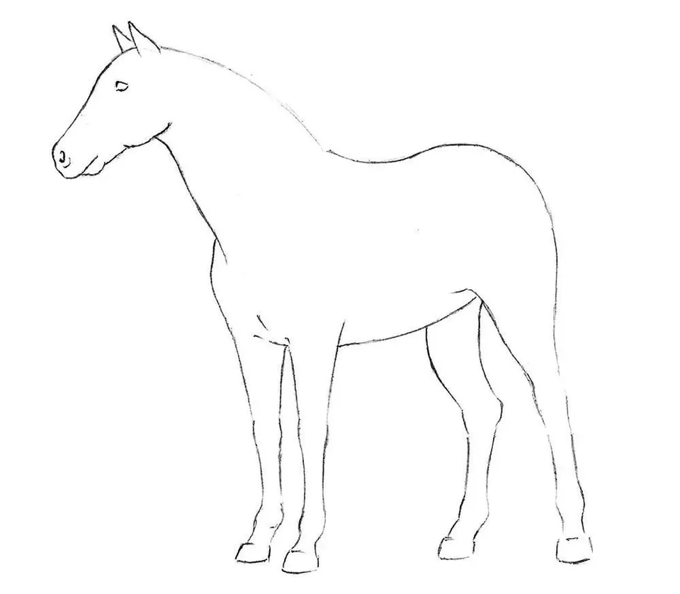 Лошадь контур