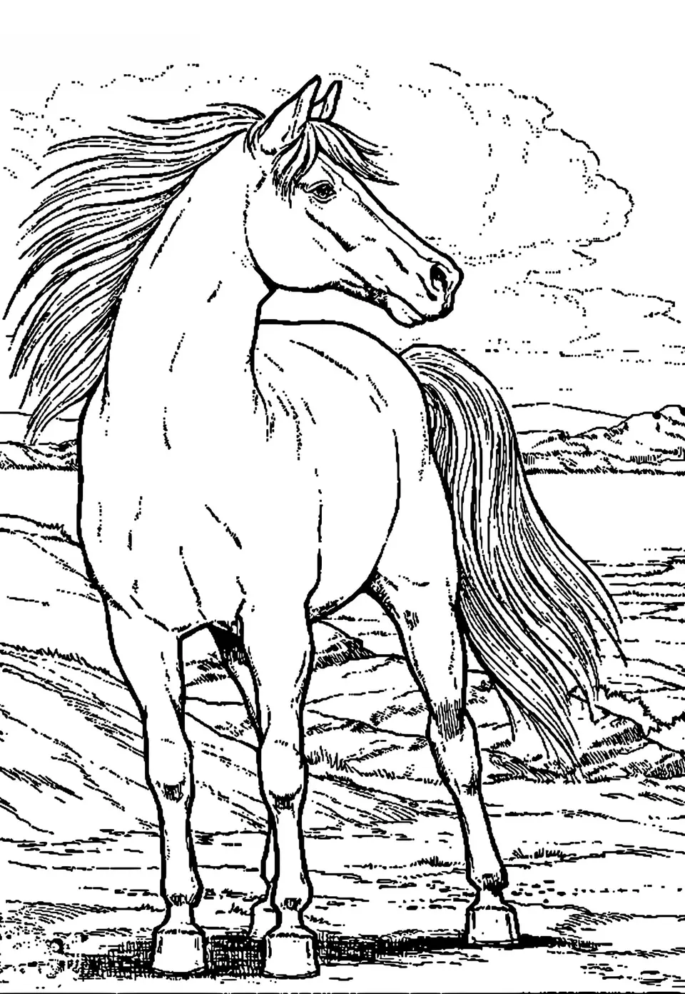 Раскраска лошади
