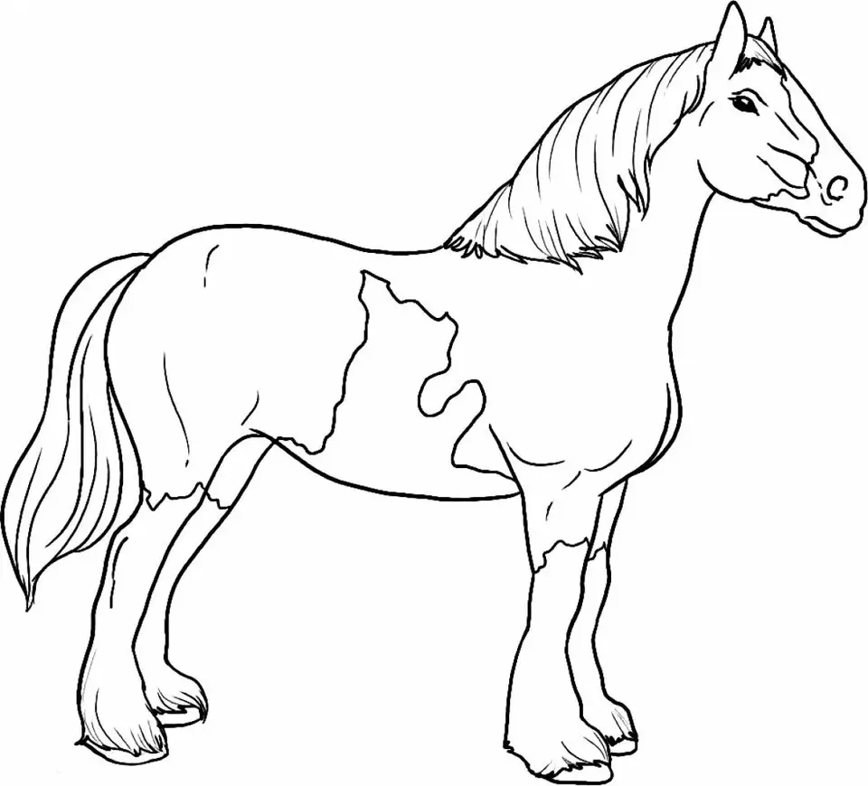 Раскраски для детей лошадки
