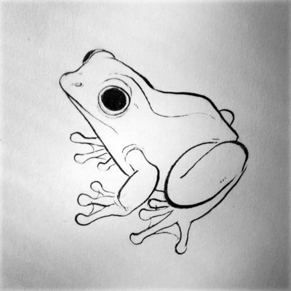 Лягушка рисунок карандашом