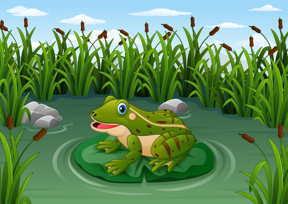 Лягушка в болоте рисунок