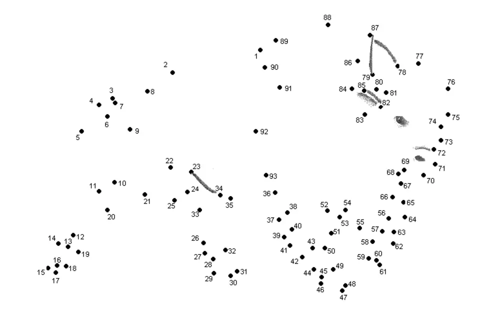 100 точек текст. Рисование по точкам сложные. Соединить точки. Рисунки по точкам с цифрами. Соединить по цифрам.