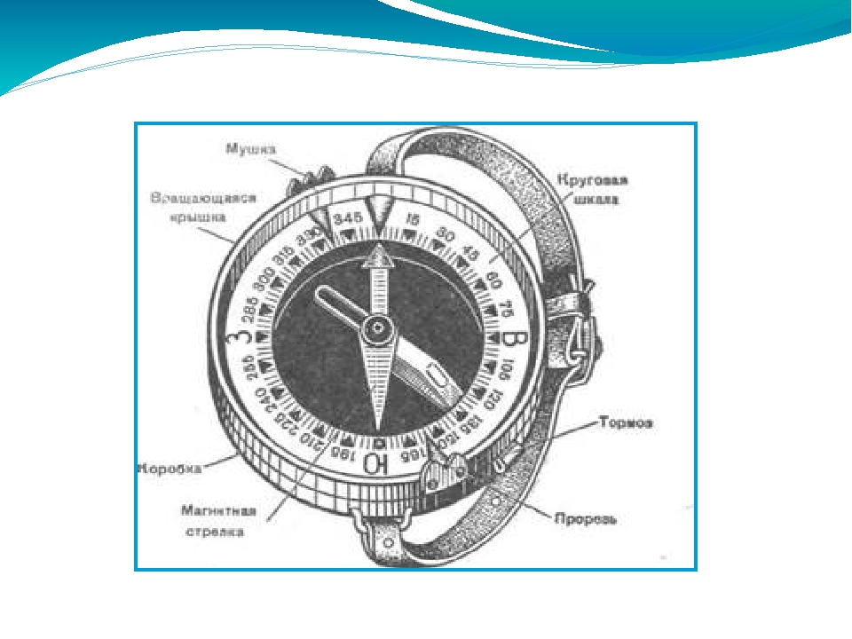 Рисунок компаса 2 класс окружающий