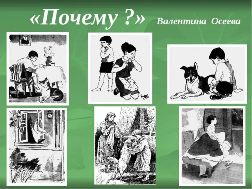 Рассказ зажать. Рассказ почему картинки. Рисунок к рассказу почему. Рассказ Осеевой почему.