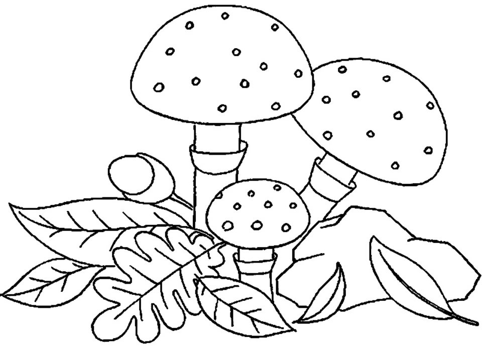 Картинки Грибов Для Детского Сада Распечатать