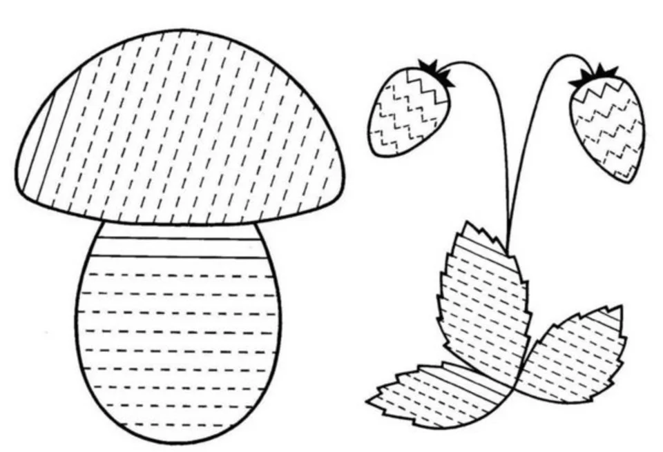 Картинки Грибы Ягоды Для Дошкольников